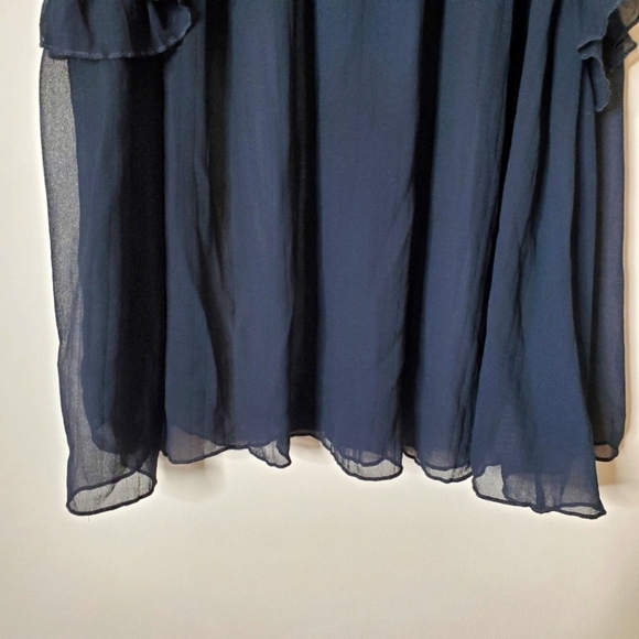 Anthropologie Sheer Chiffon Ruffle Blouse Top - Picture 4 of 14